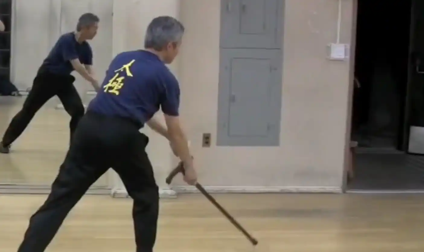Tiger Taming Dragon Cane